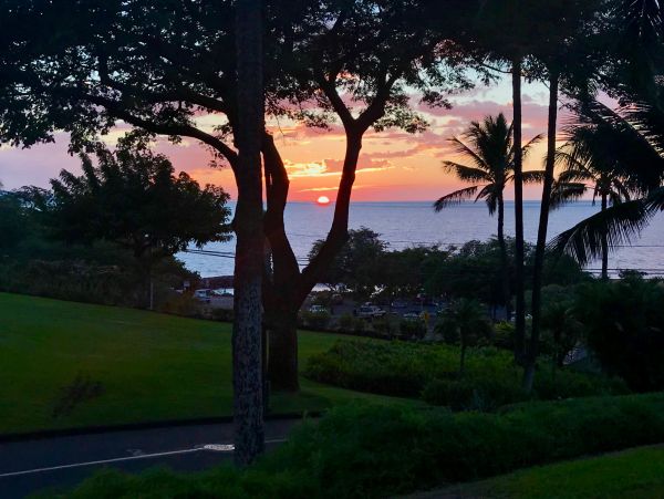 Wailea Condo 978096