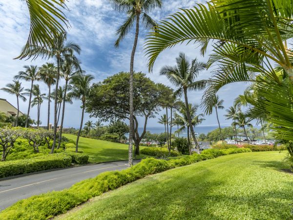 Wailea Condo 978096