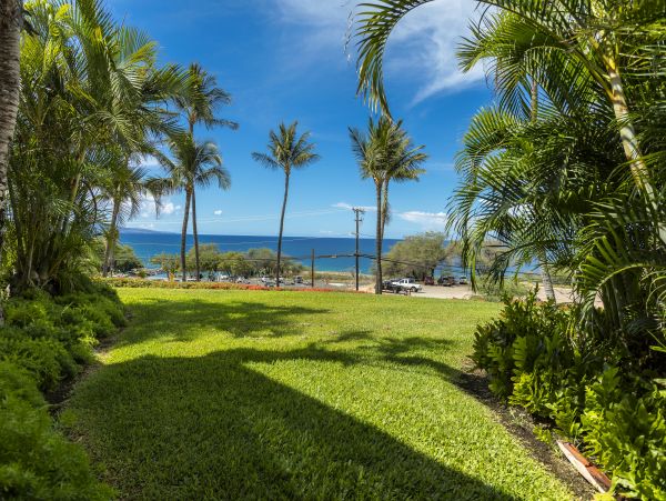 Wailea Condo 978097