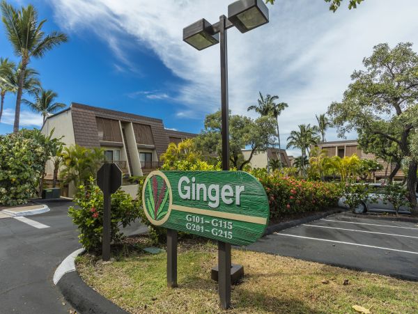 Wailea Condo 978097