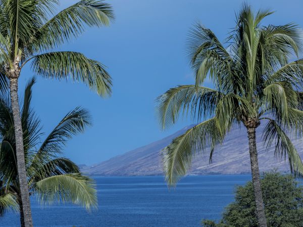 Wailea Condo 978097