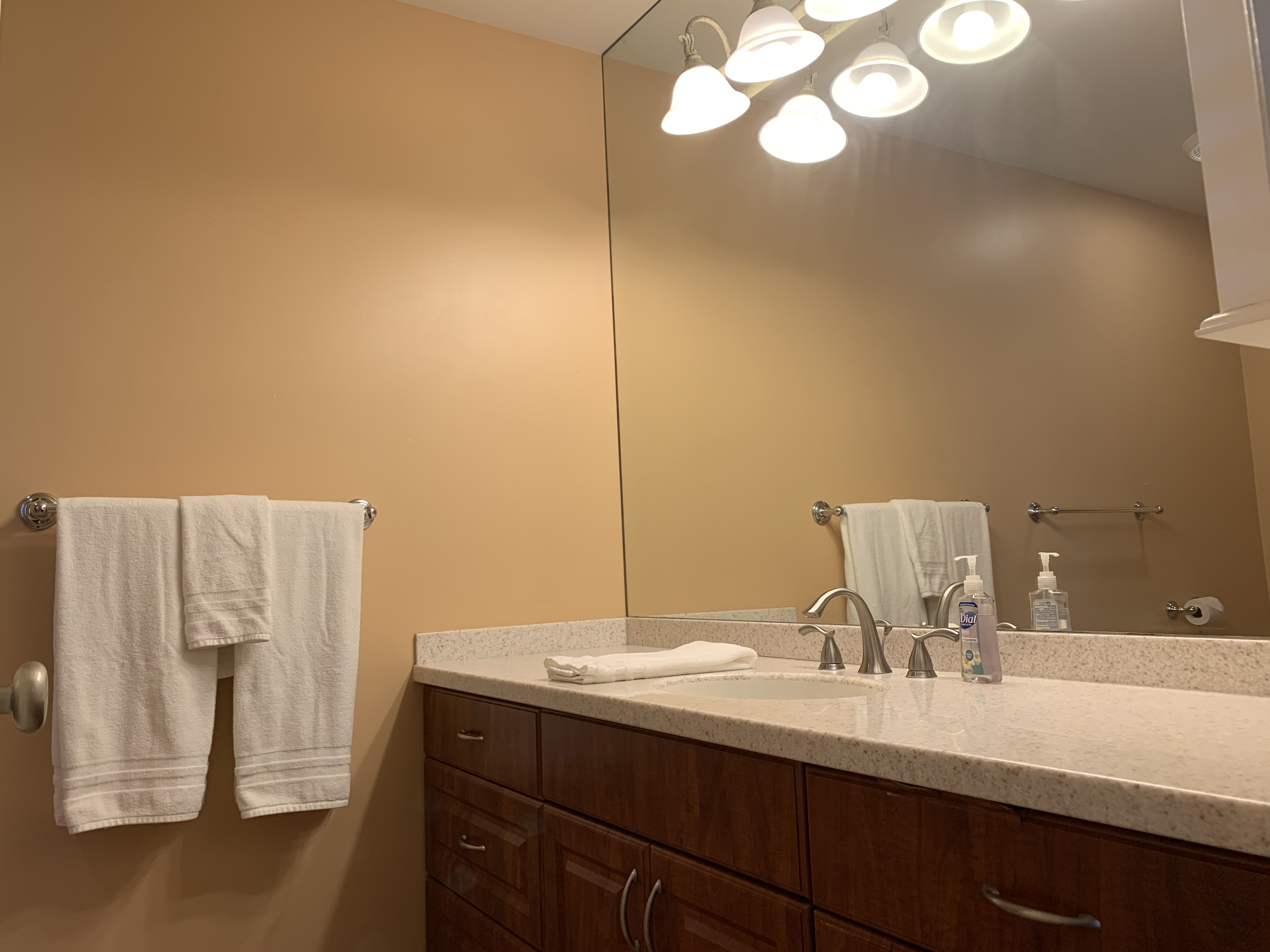 Wailea Condo 978098
