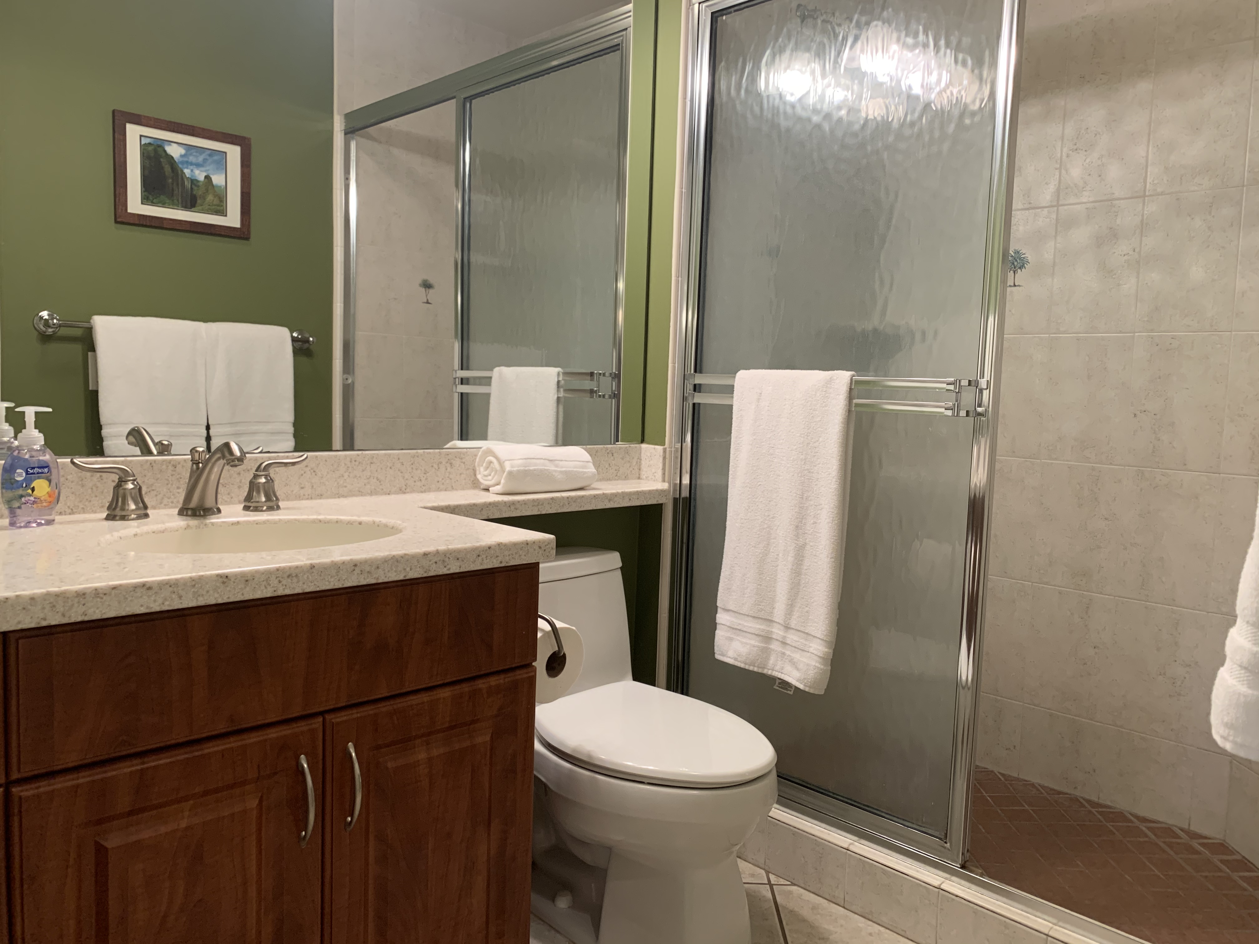 Wailea Condo 978098