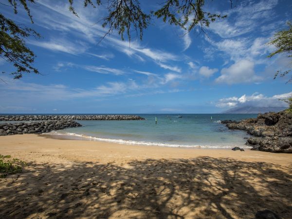 Wailea Condo 978099