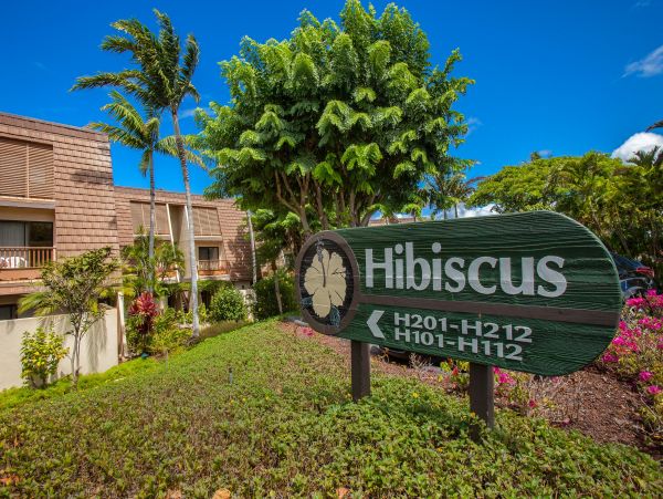 Wailea Condo 978099