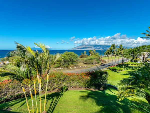 Wailea Condo 978100