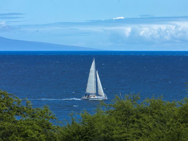 Wailea Condo 978100