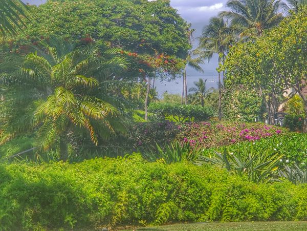 Wailea Condo 978101