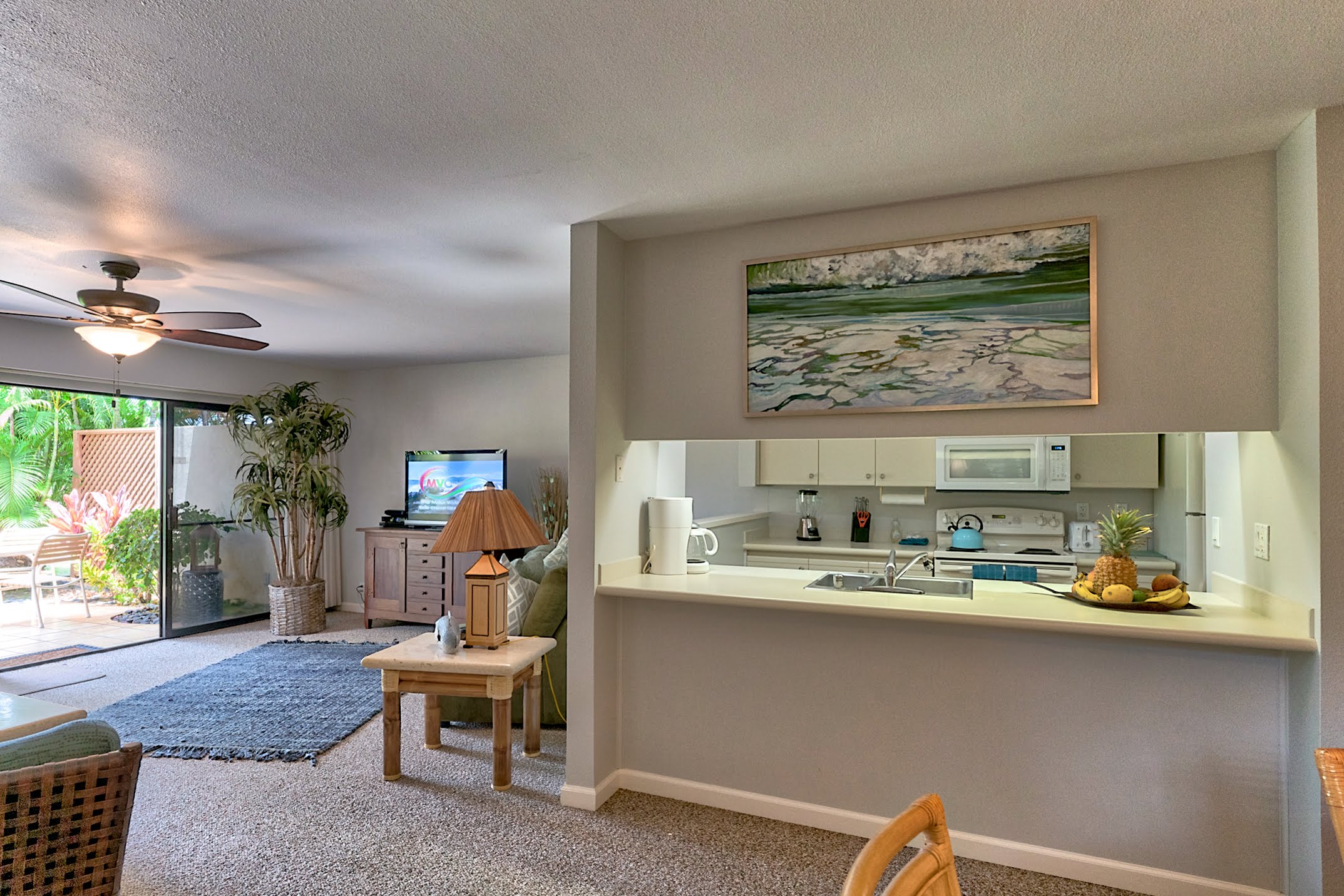 Wailea Condo 978101
