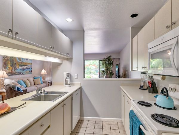 Wailea Condo 978101