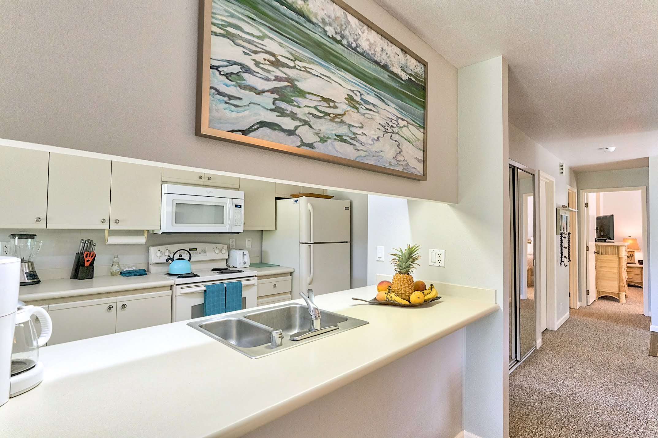 Wailea Condo 978101