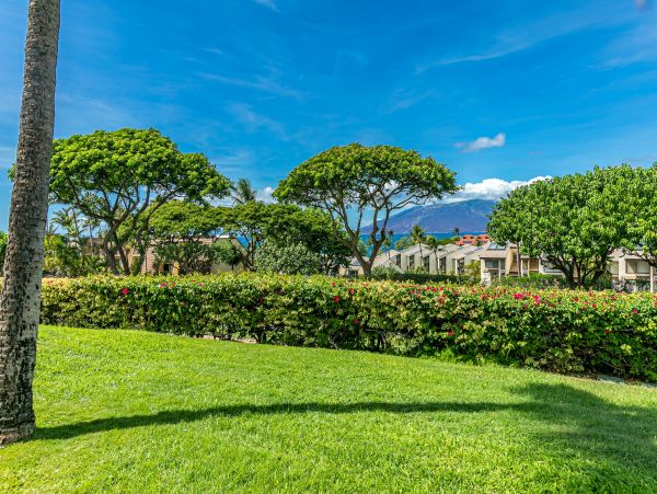 Wailea Condo 978102