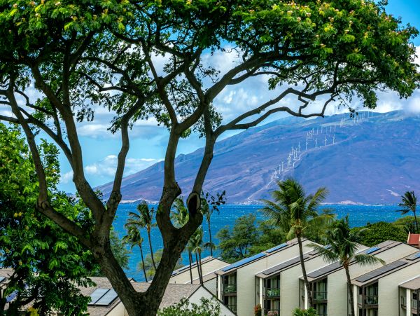 Wailea Condo 978102