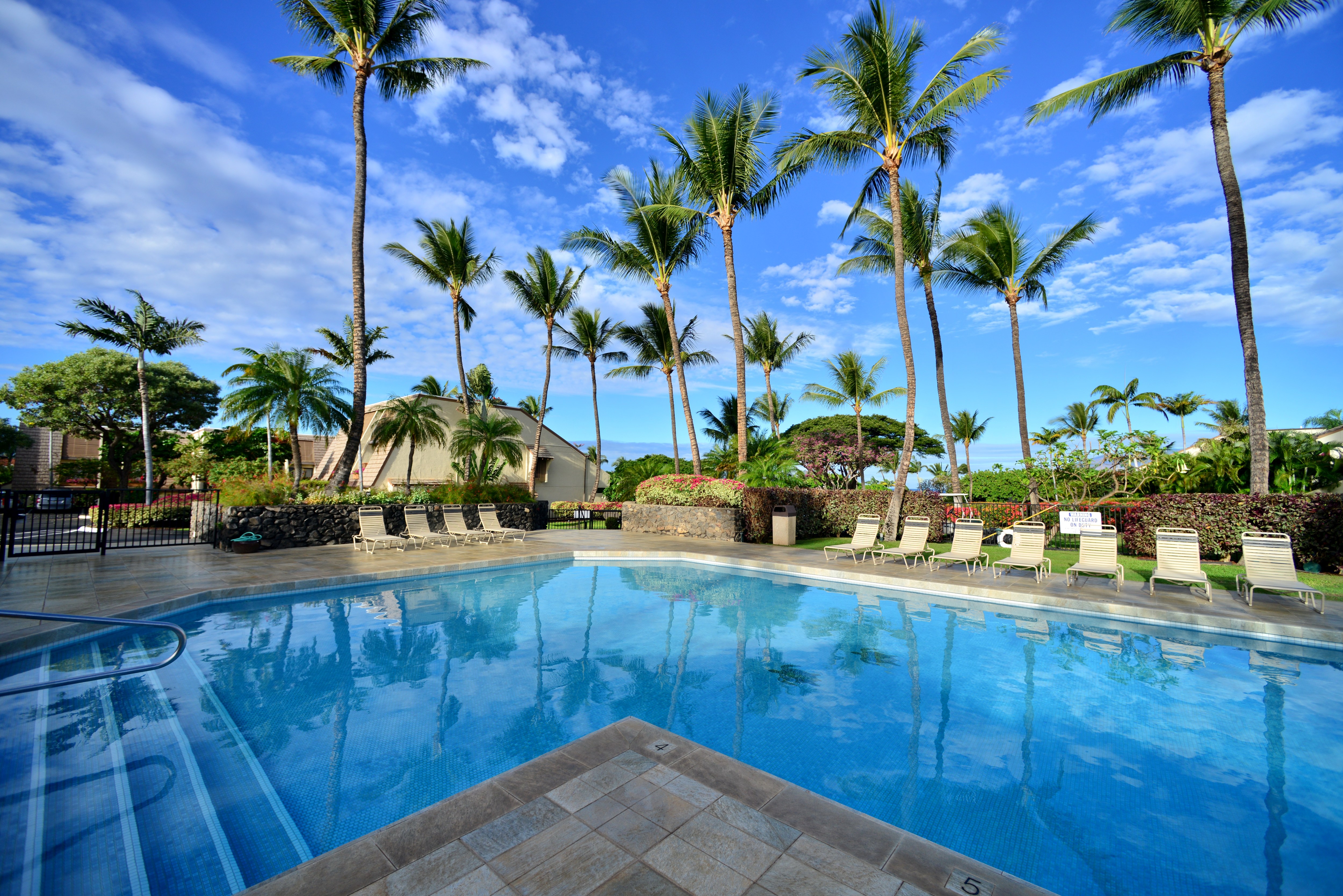 Wailea Condo 978104