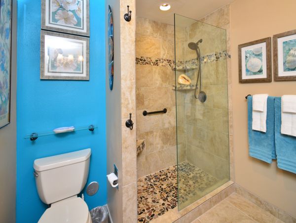 Wailea Condo 978104