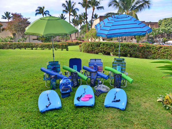 Wailea Condo 978104