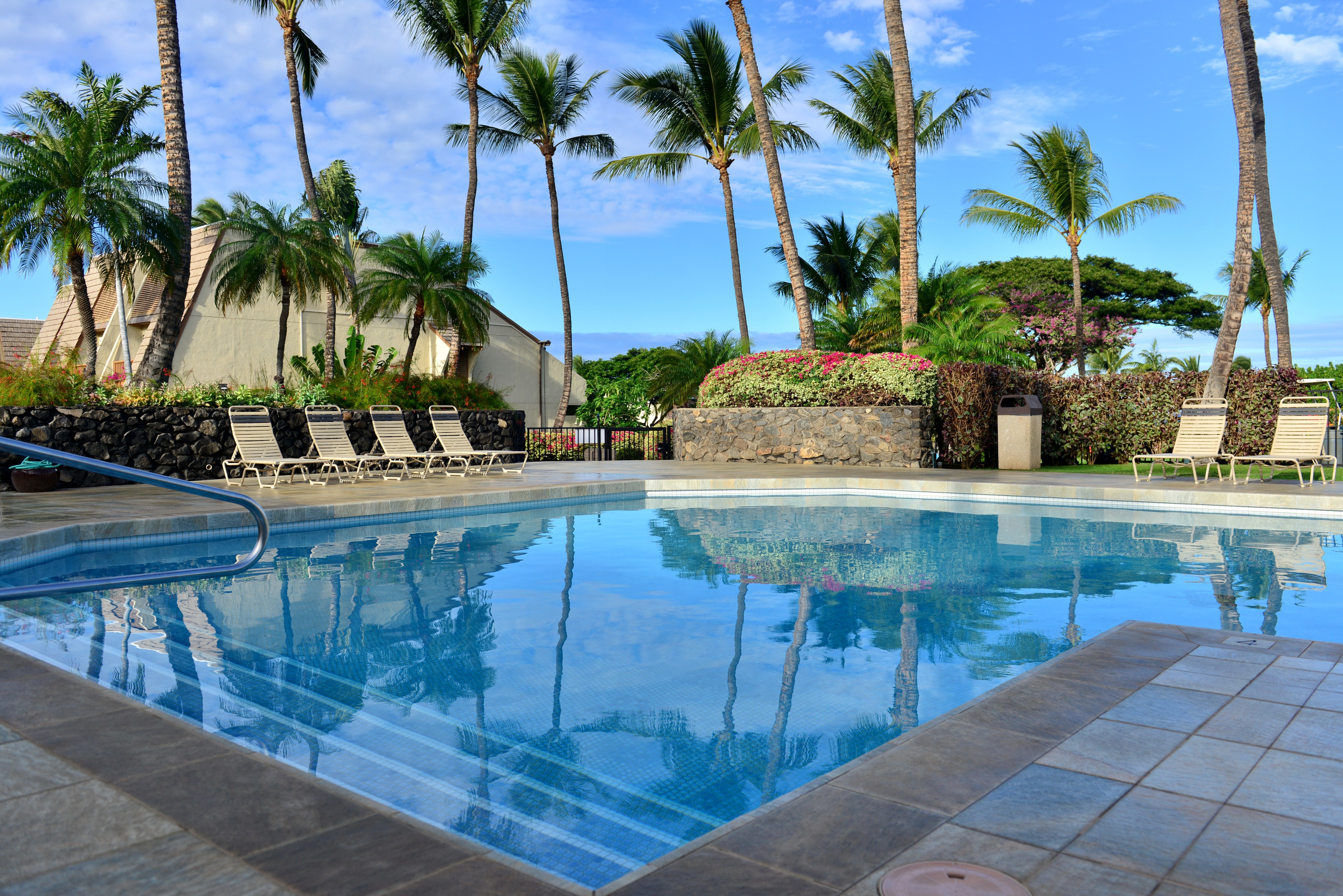 Wailea Condo 978104