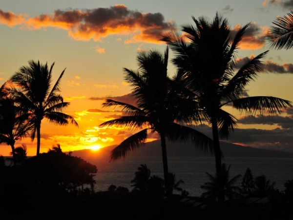 Wailea Condo 978105