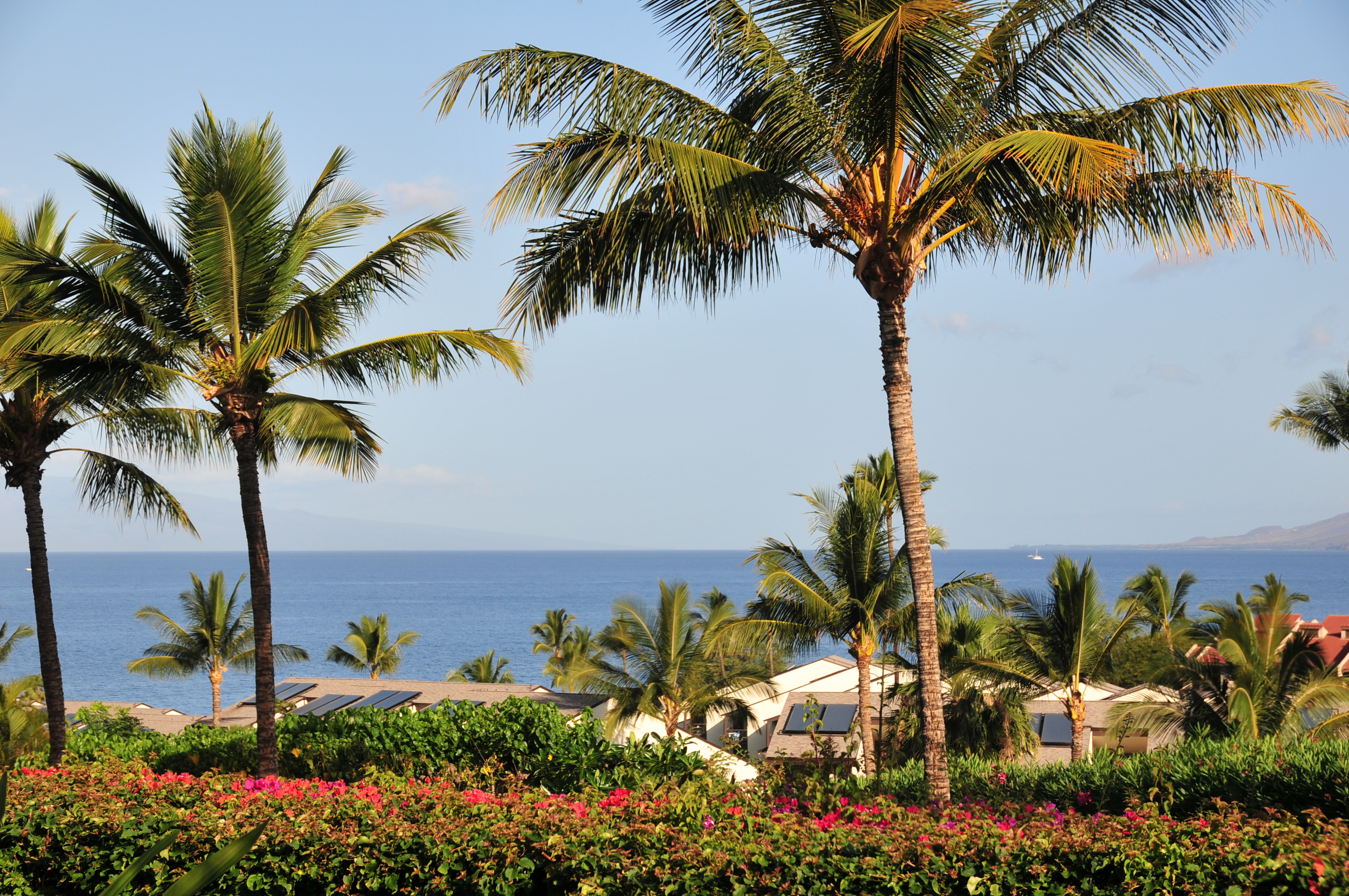 Wailea Condo 978105