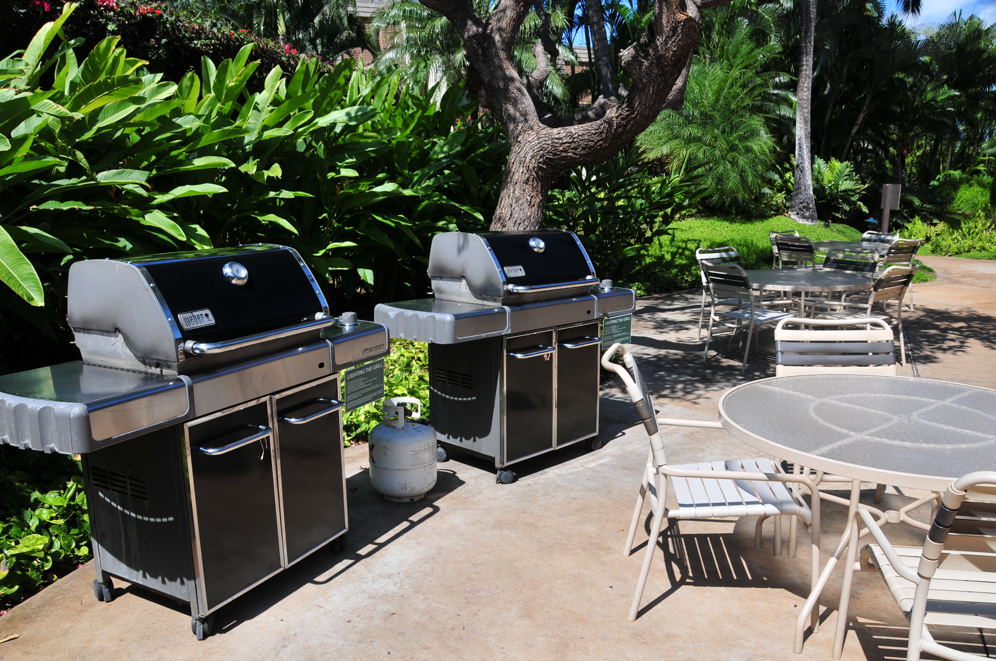 Wailea Condo 978105