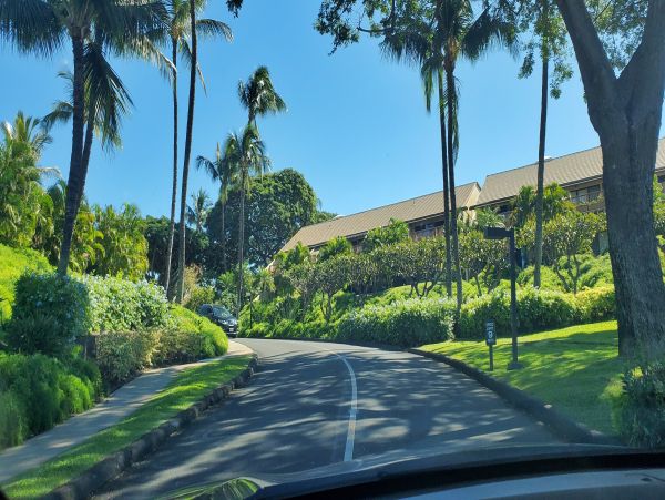 Wailea Condo 978105