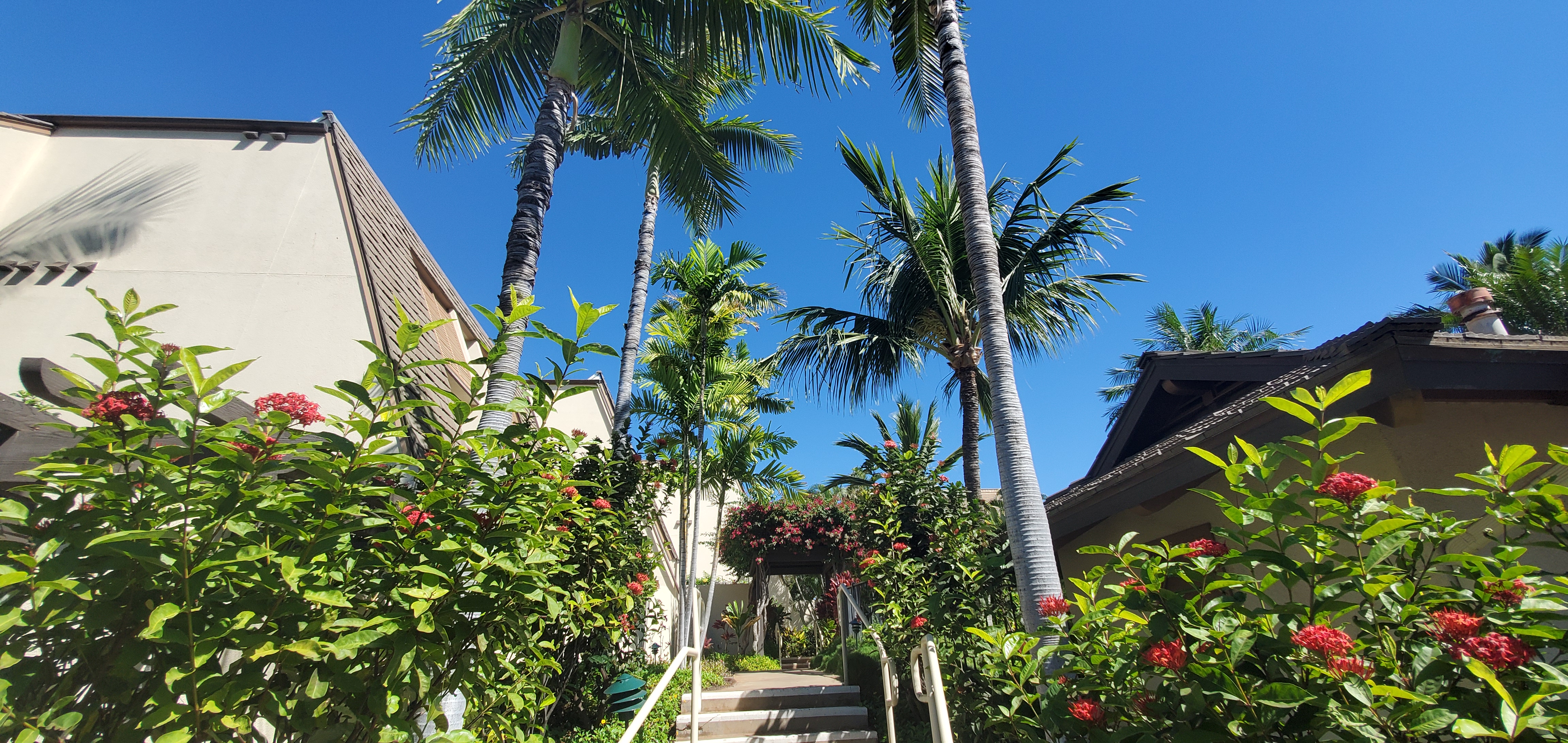 Wailea Condo 978105
