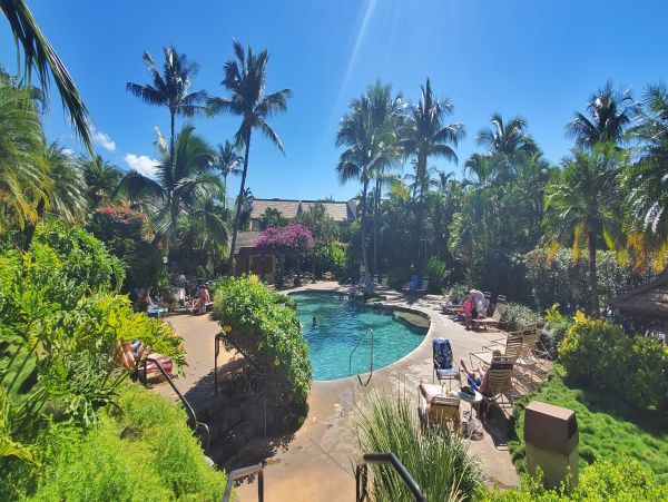 Wailea Condo 978105