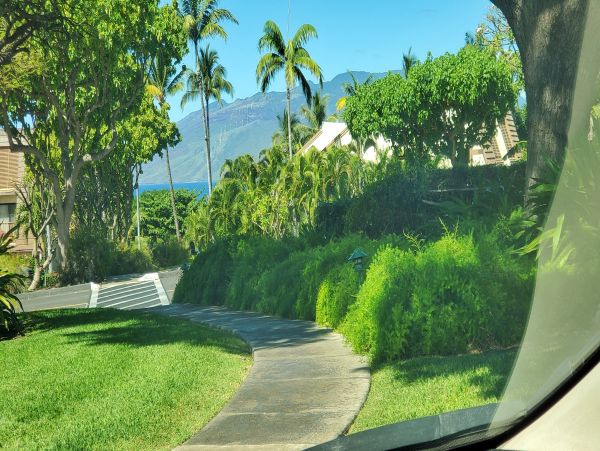 Wailea Condo 978105