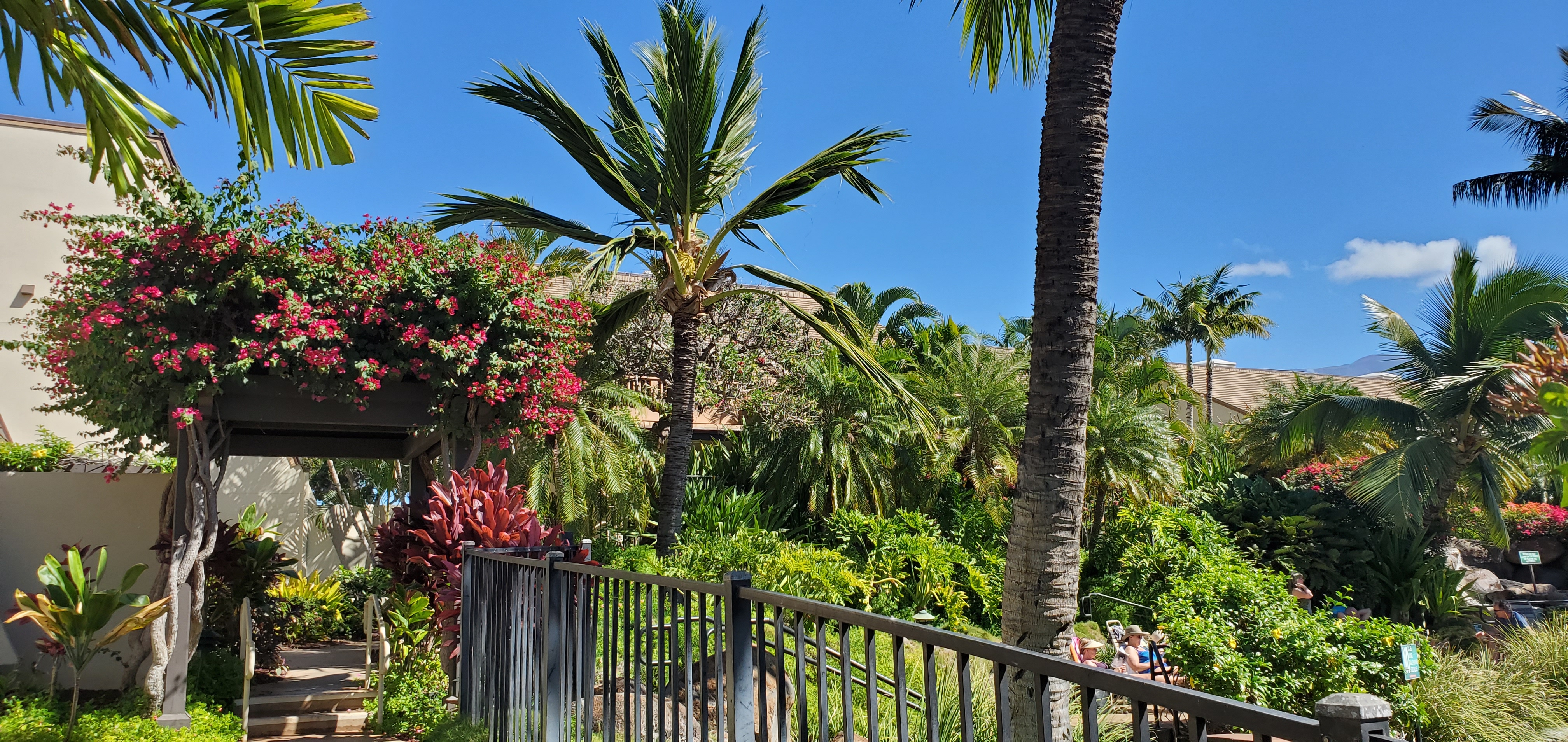 Wailea Condo 978105