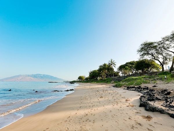 Wailea Condo 978106