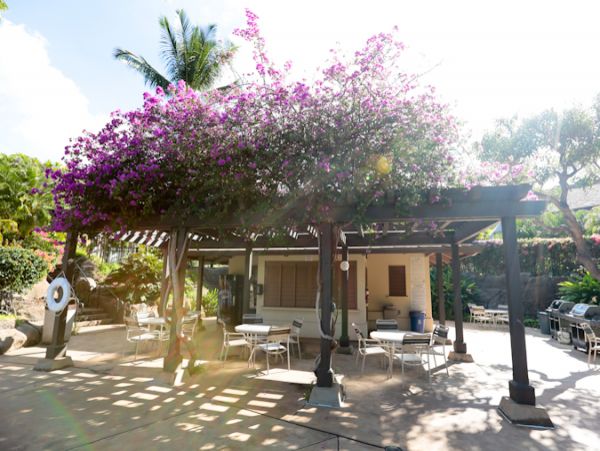 Wailea Condo 978106