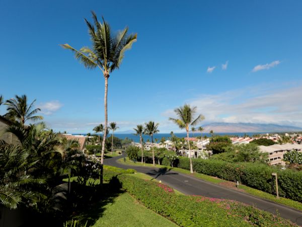 Wailea Condo 978106