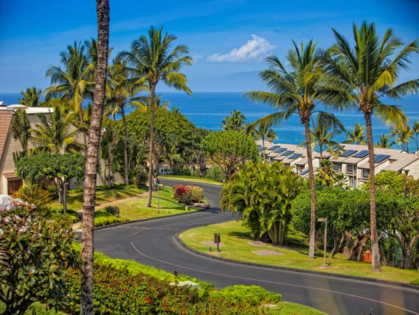 Wailea Condo 978106