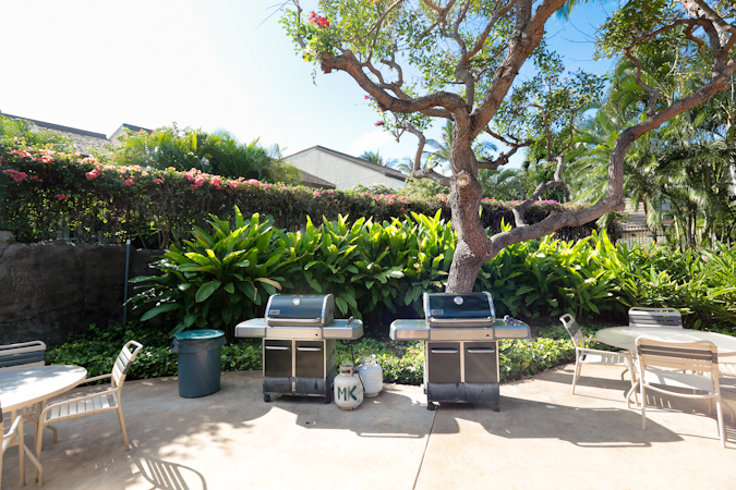 Wailea Condo 978106
