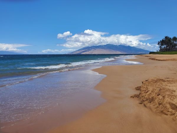 Wailea - Maui Condo 978107