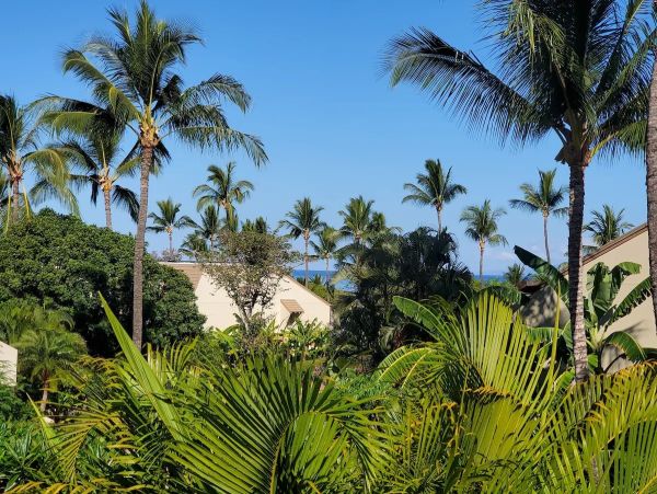 Wailea - Maui Condo 978107 - additional view, photo 3