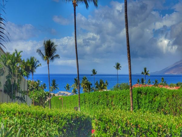 Wailea Condo 978108