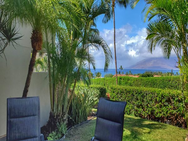 Wailea Condo 978108
