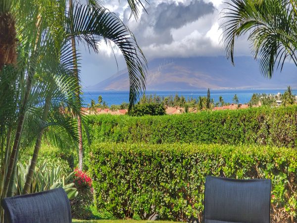Wailea Condo 978108