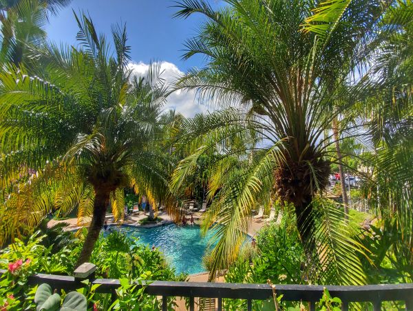 Wailea Condo 978108