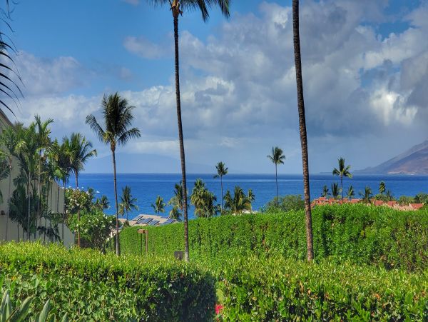 Wailea Condo 978108