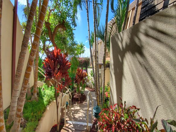 Wailea Condo 978108