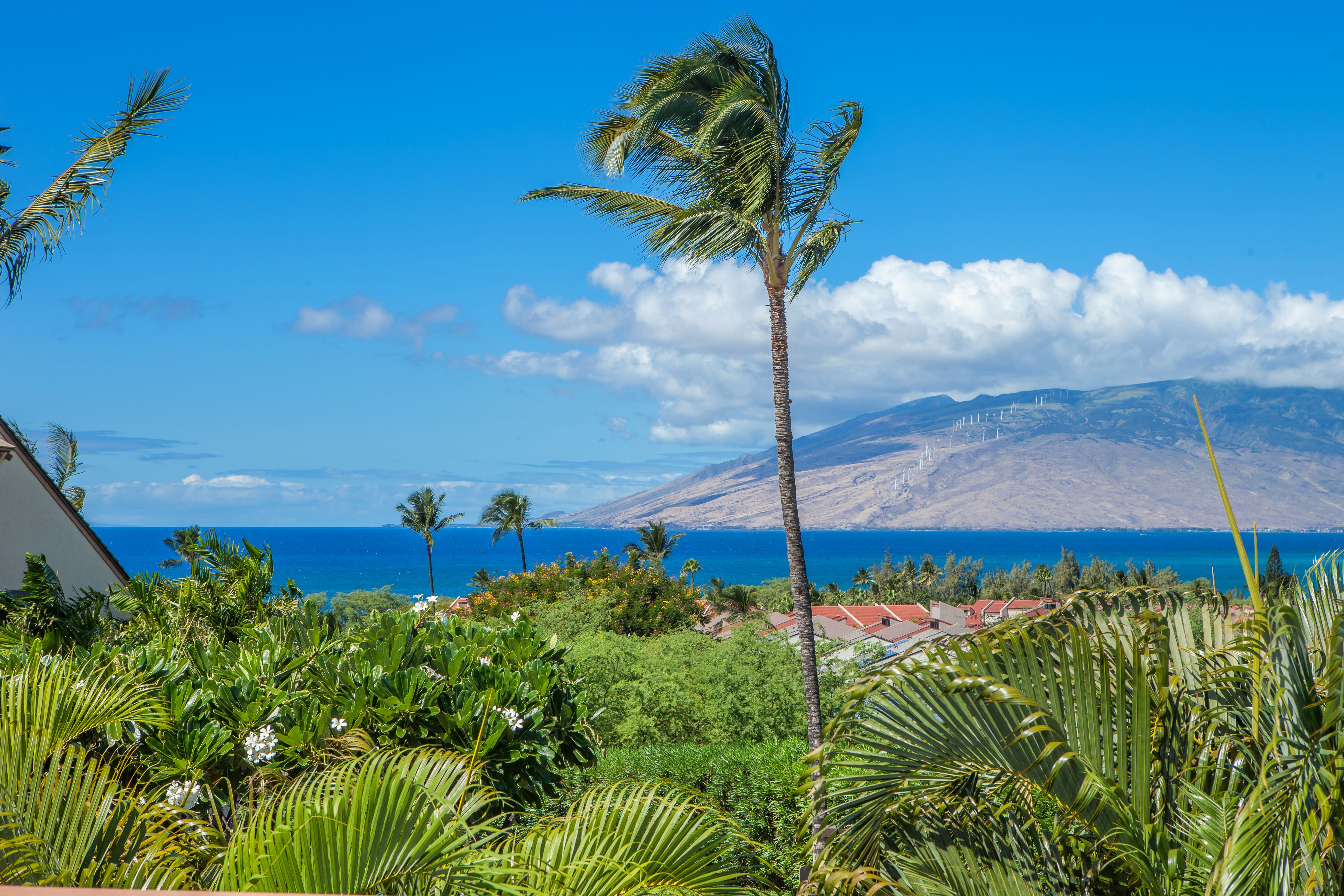 Wailea Condo 978109