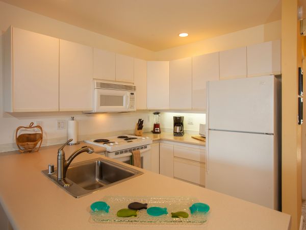 Wailea Condo 978109