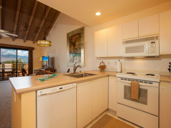 Wailea Condo 978109