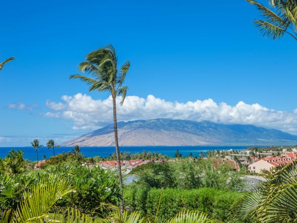 Wailea Condo 978109
