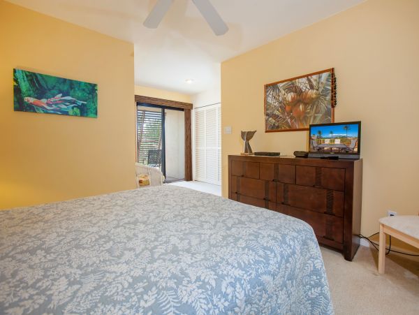 Wailea Condo 978109