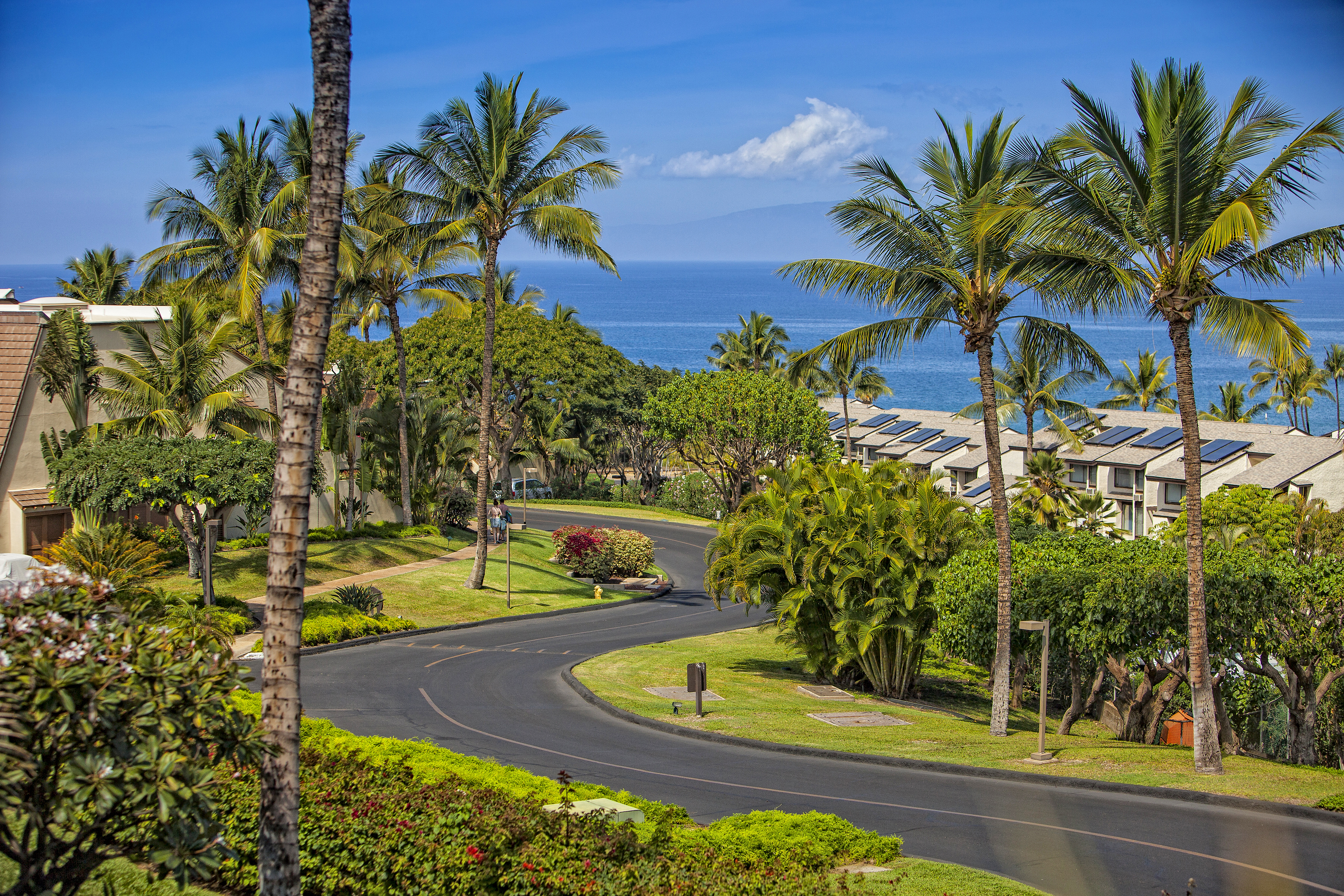 Wailea Condo 978112