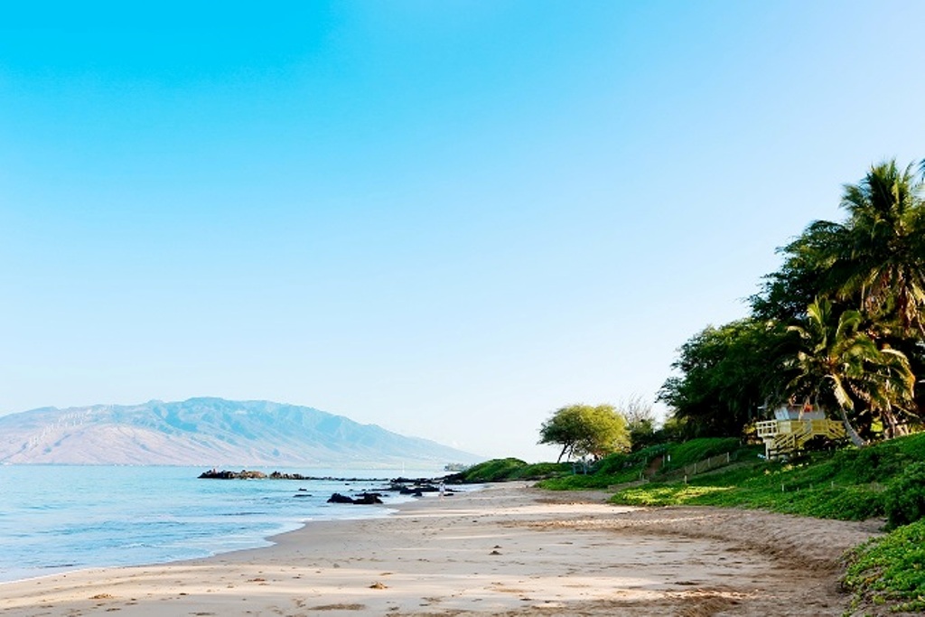 Wailea Condo 978112