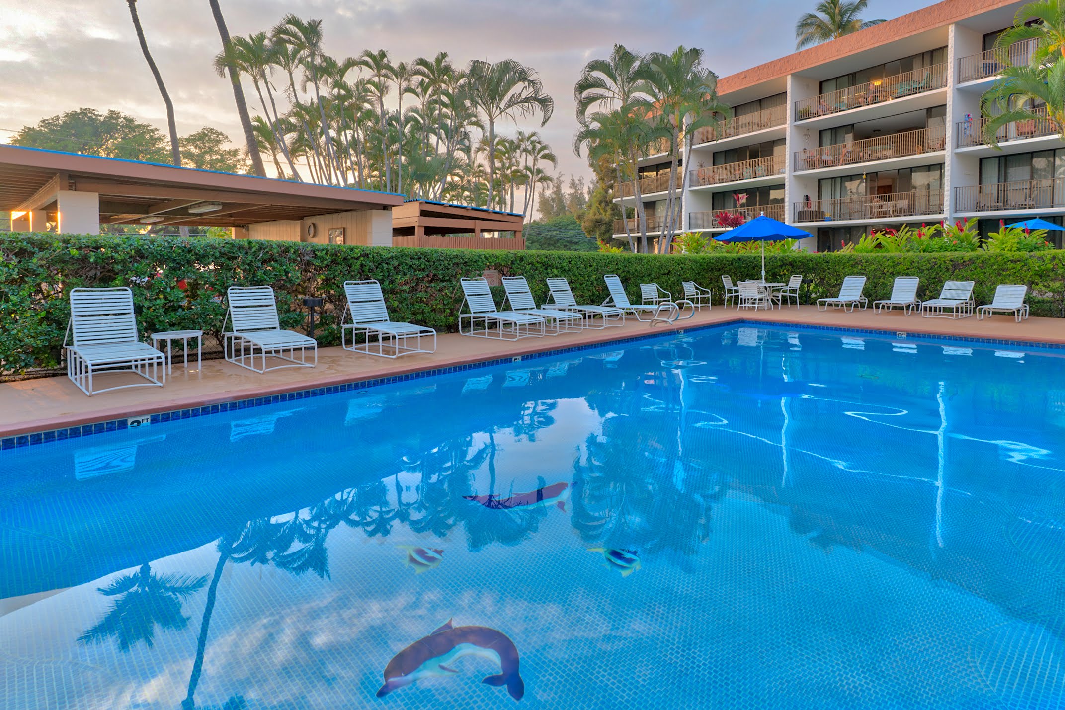 Wailea Condo 978113